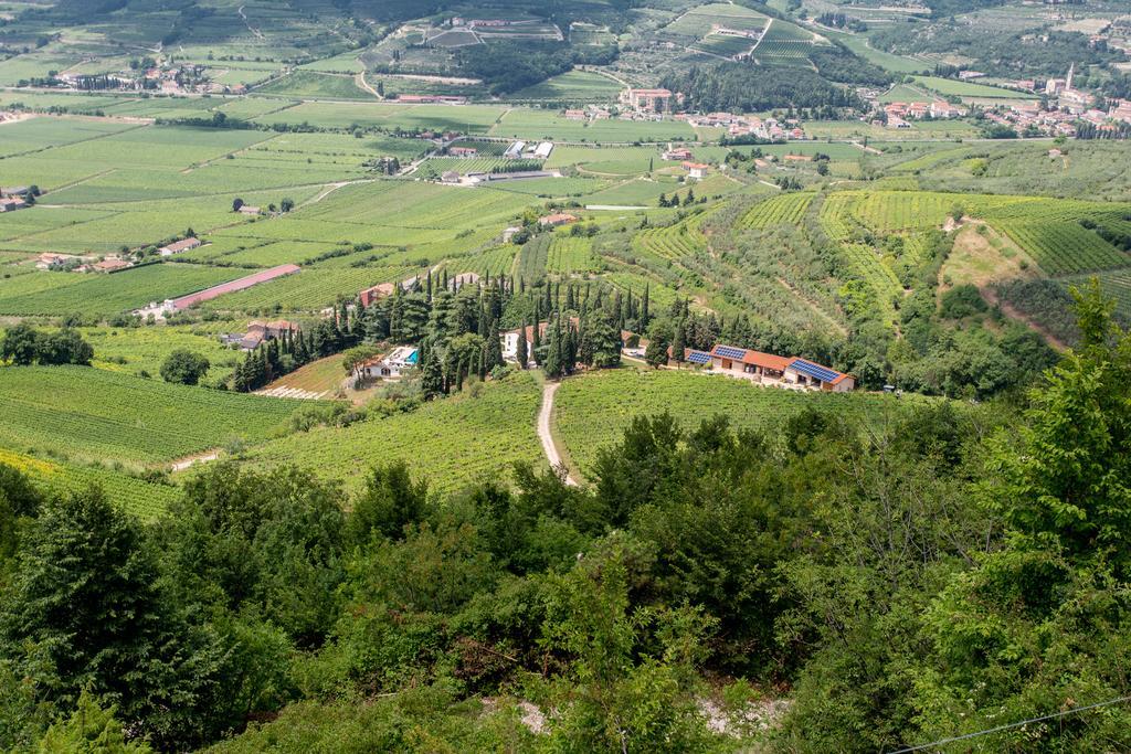 Massimago Wine Relais Villa Mezzane di Sotto Exterior photo